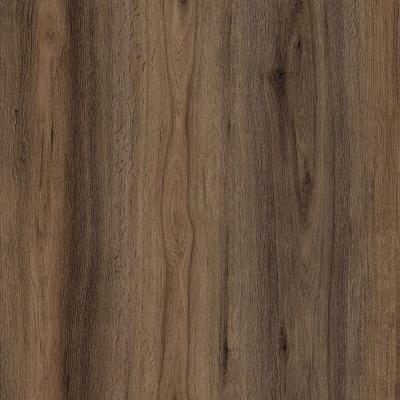 Spc Floor Color 82003-5
